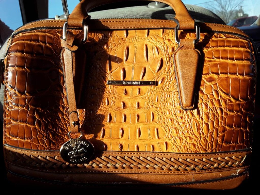 Brown Brahmin Purse