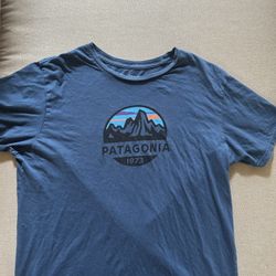 Patagonia Shirt 