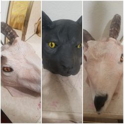 2 Face Masks(firm on Price)(20 For Both 