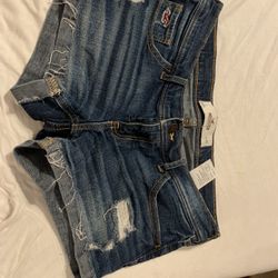 Ladies Shorts For Sale