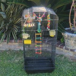 Bird Cage