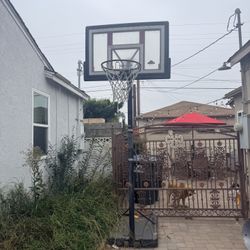 Outdoor Lifetime Basketball Hoop Court