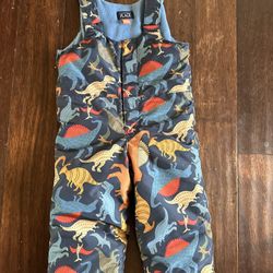 Snow Outfit/bib Size 2T