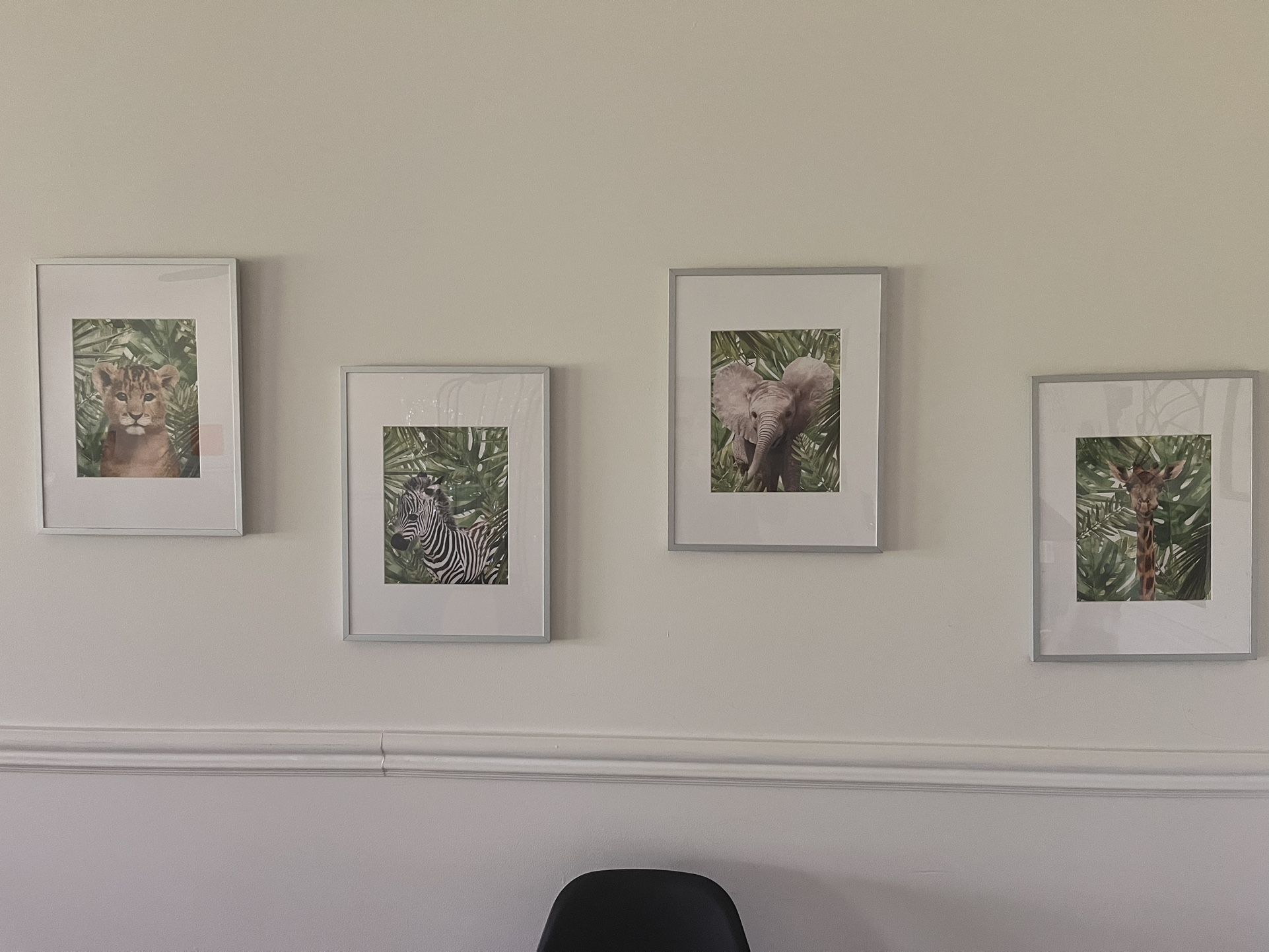 Safari Animal Framed Prints