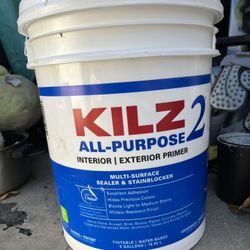 Kilz 2 All purpose PRimer Paint 