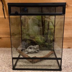 18’18’24 Terrarium