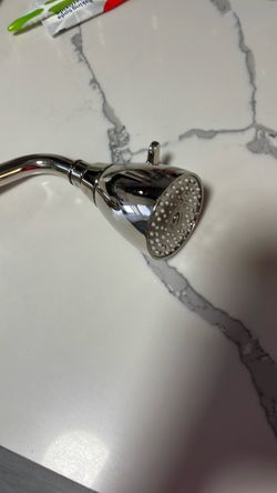 Waterworks shower head