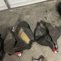 Turkey Decoys
