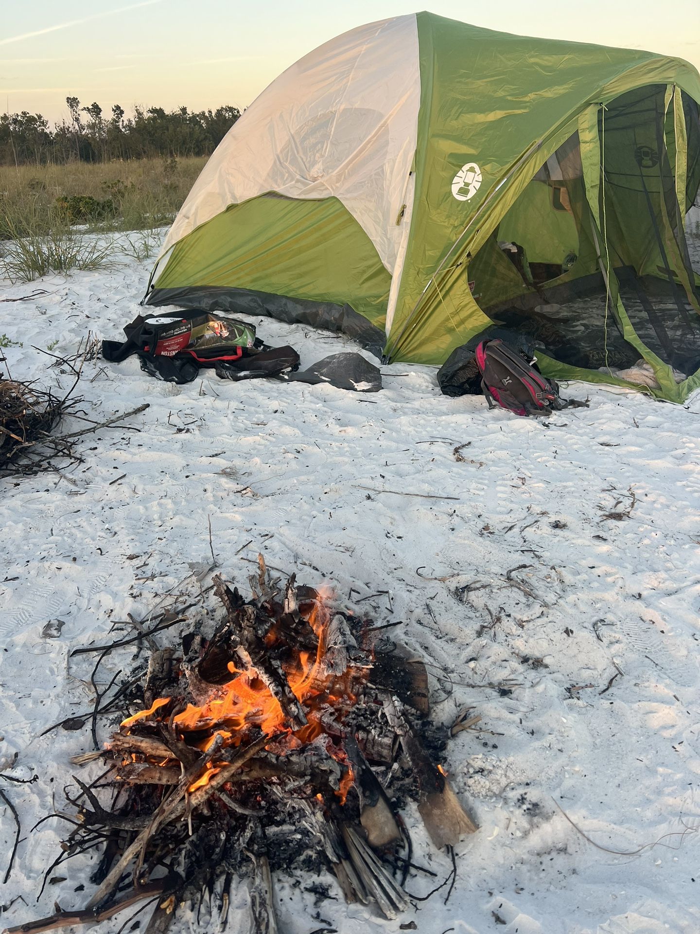 Great Coleman Camping Tent. Easy To Assembly