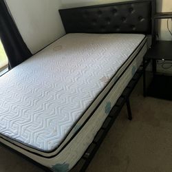 Free Free First Come First Serve
