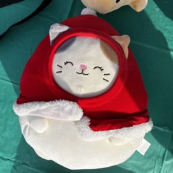 Kitty Plush