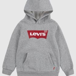 Levi's Boys Batwing Logo Sweatshirt Heather Gray Lg 14-16