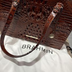 Brahmin Purse