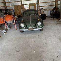 1965 Bug 