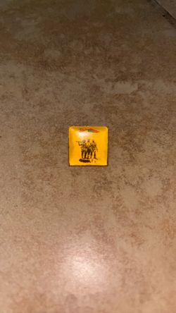 Vietnam Pin