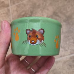 Hamster Bowl