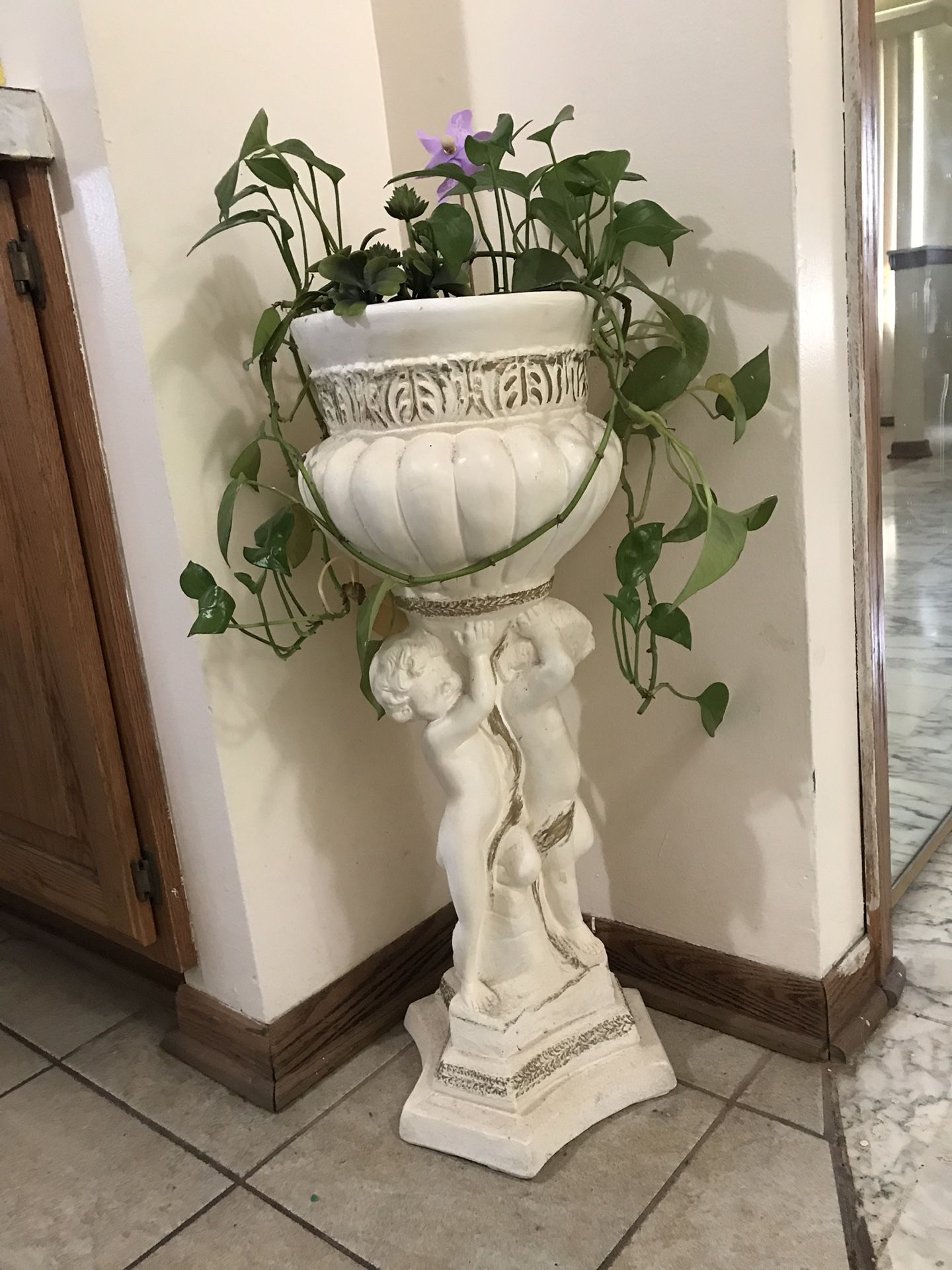 Real plant with stand