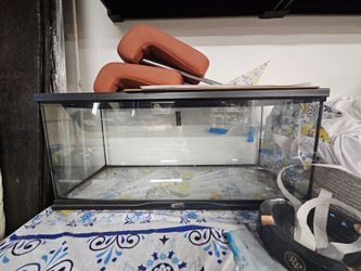 Reptile tank