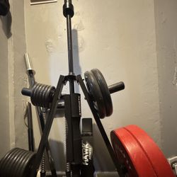 Weight Lifting Haul 