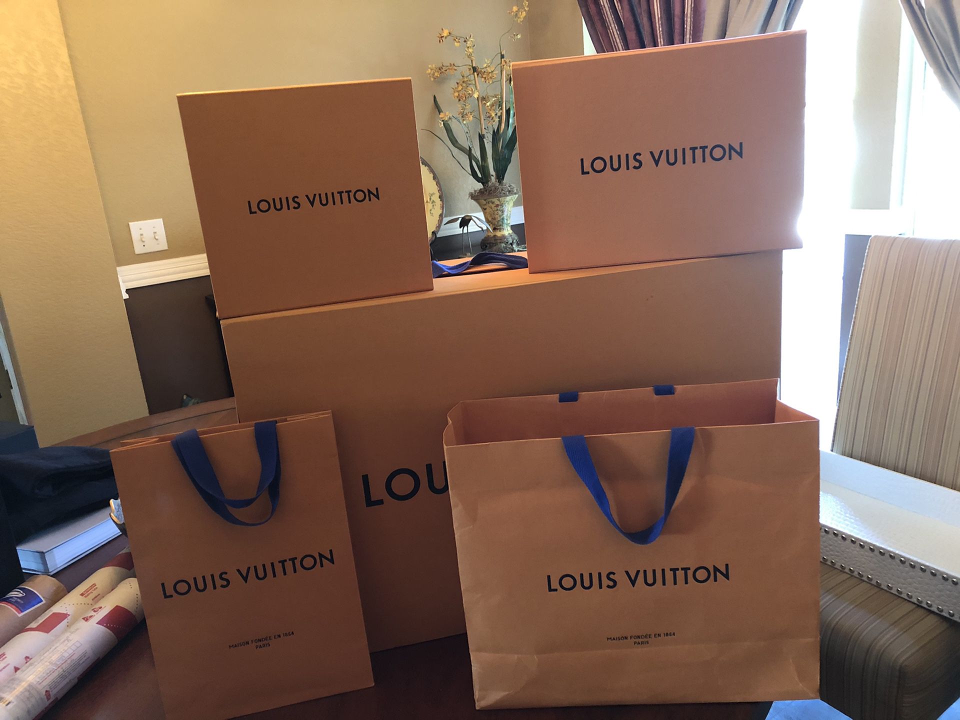 Louis Vuitton original bags
