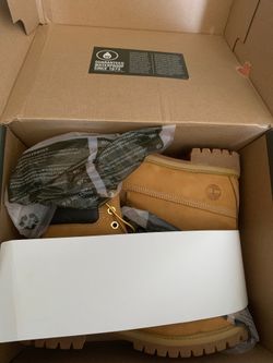Brand new timberlands size 9