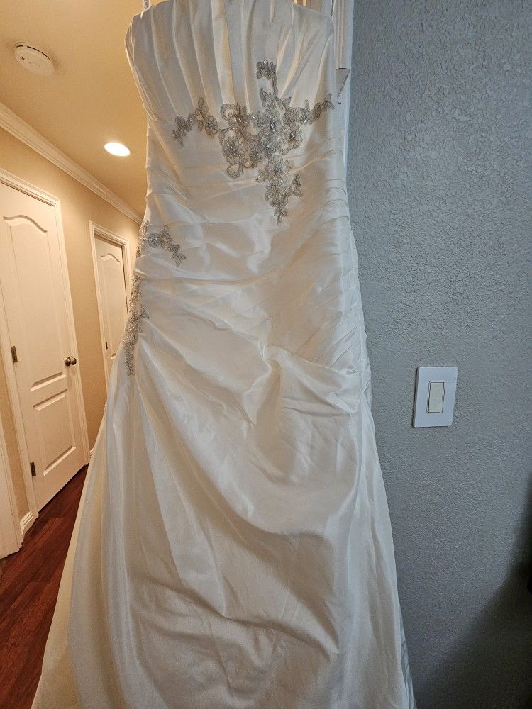 Wedding Dress and Veil