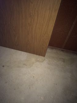 Free Bathroom door
