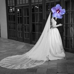 Cathedral Wedding Veil 