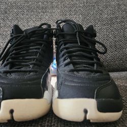 Nike AIR Jordan 12 Retros