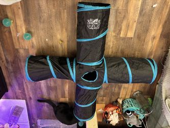 4 Way Cat Tunnel