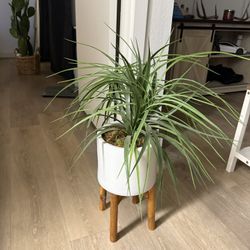Fake Potted Plant