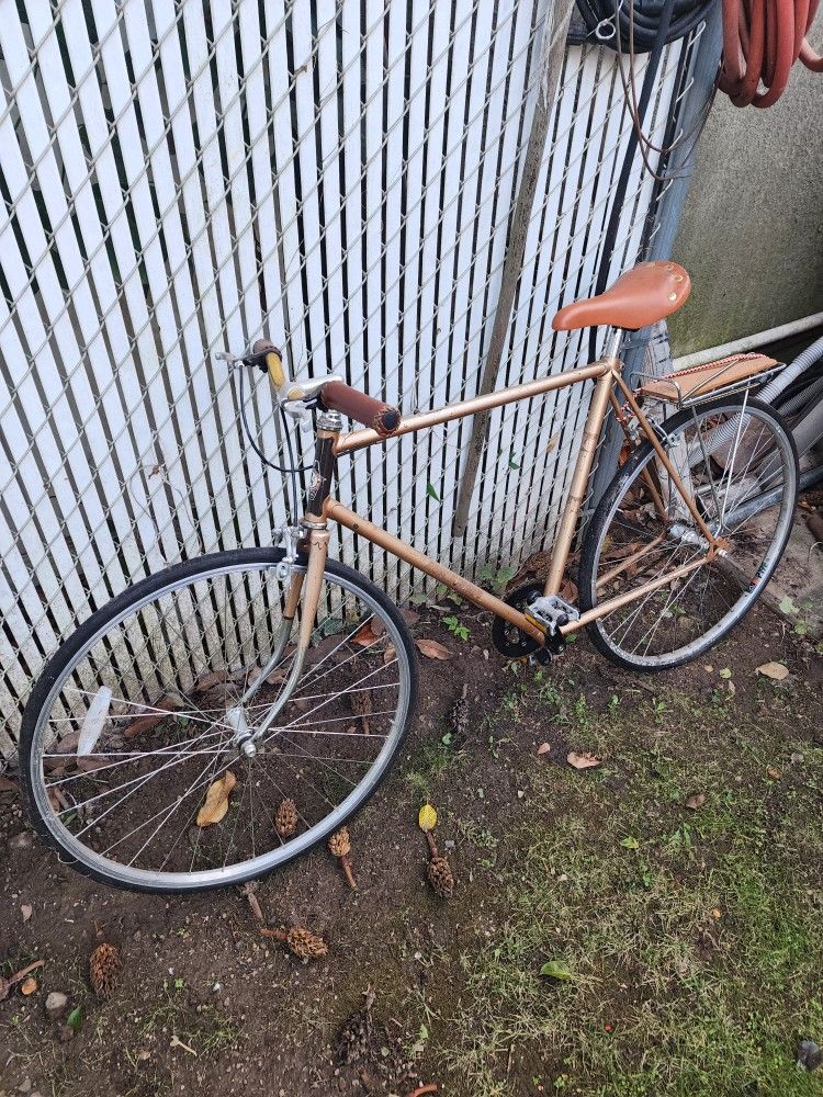 Custom Built Fixie Street Bike