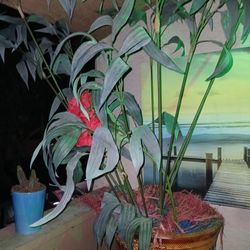 Fake Plant Tree W Heavy Expensive  Pot 