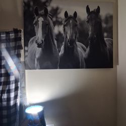 Missalaneous wall decore