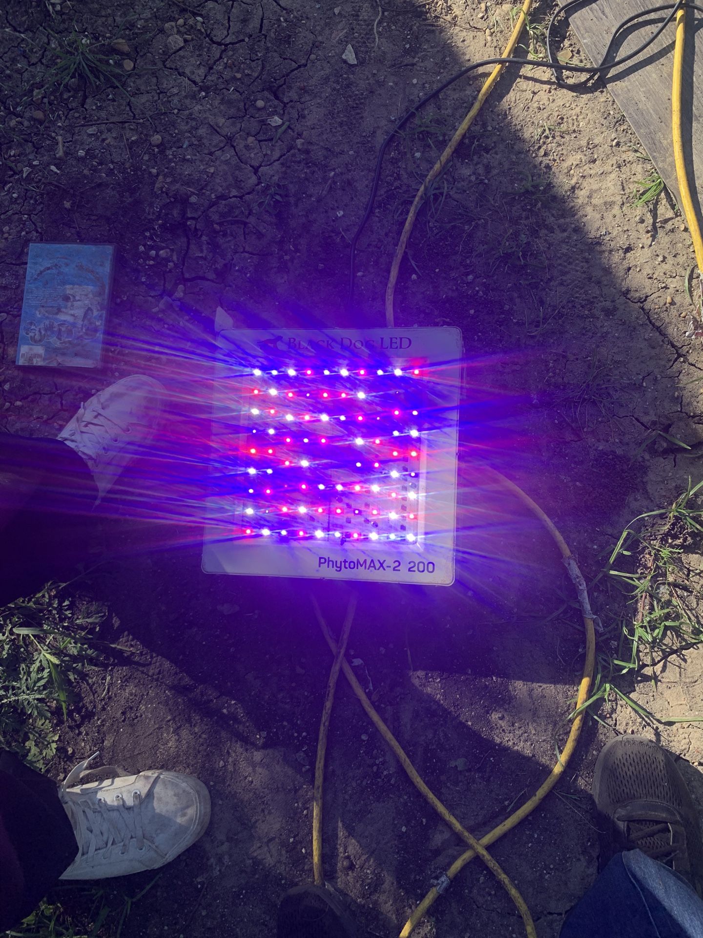 Black Dog LED