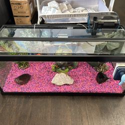 Complete Fish Tank