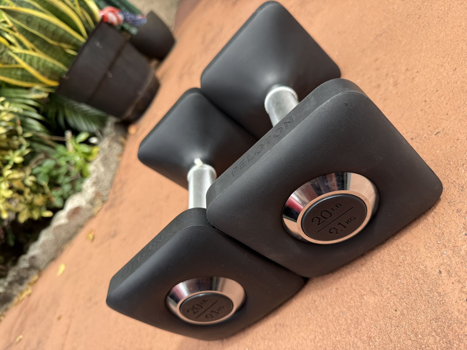 20.lbs Dumbbell Set