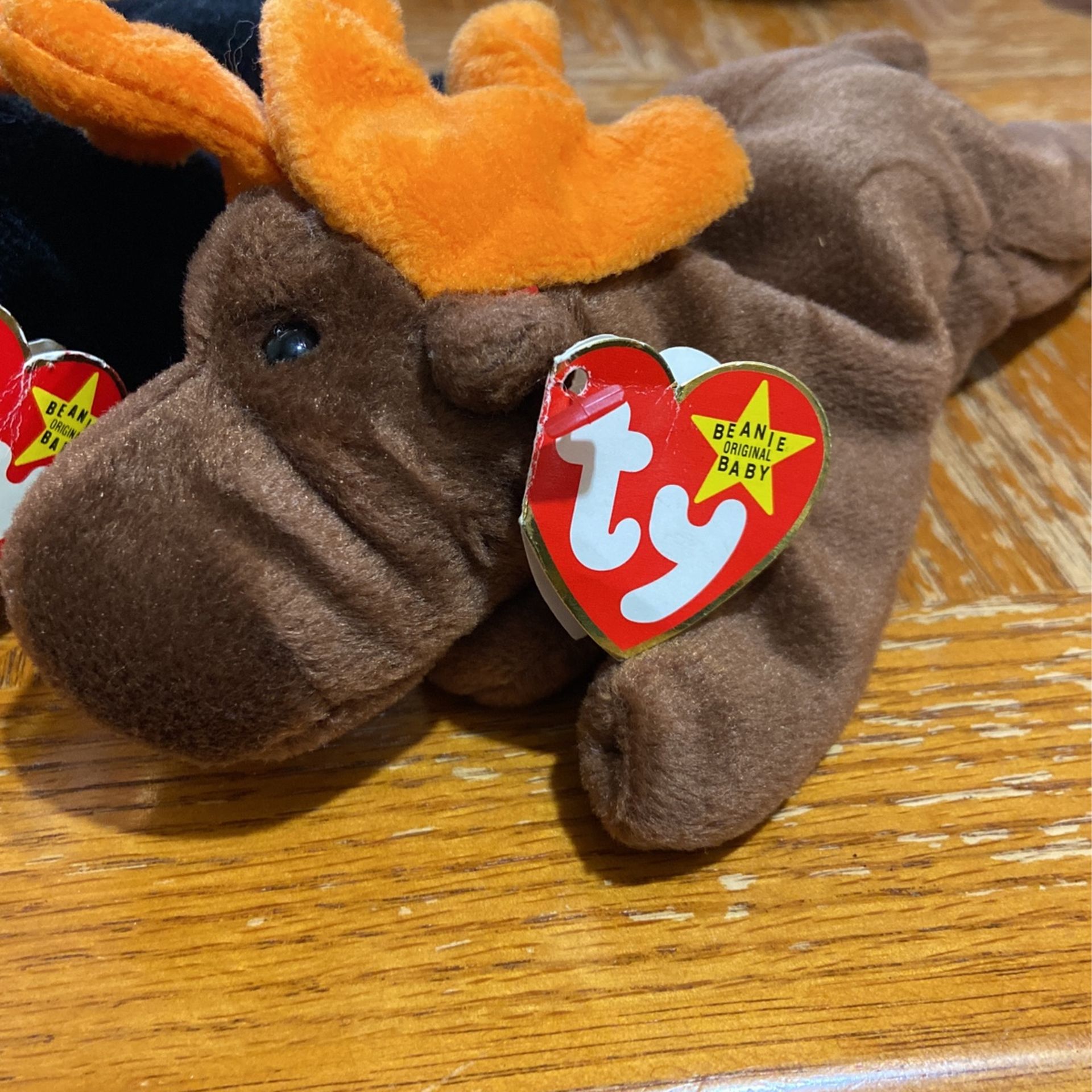 Beanie Baby chocolate With Error Tag