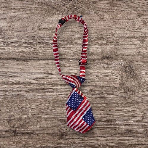 Dog And Cat Tie