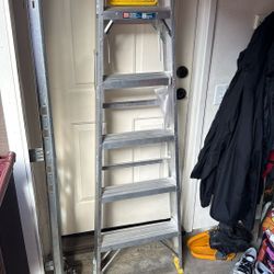 Werner 6’ Ladder