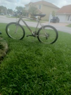 White fuji bike