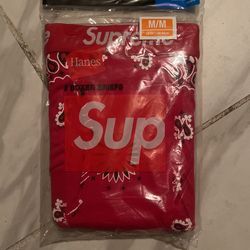 Supreme Boxer Briefs Paisley