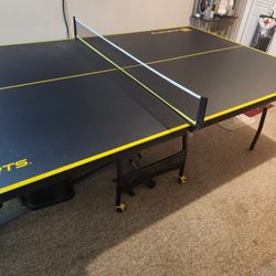 Ping Pong  Table 