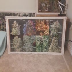 Homemade CannaArt Pictures $80 Each
