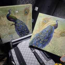Peacock Wall Art