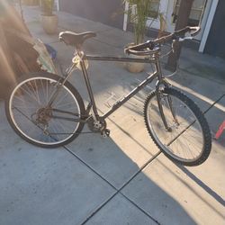 Used Bicycle