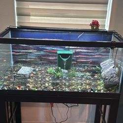 40 Gal Tank 