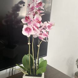 Artificial Plant 