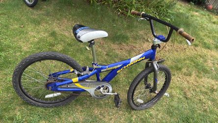 Schiwinn bike falcon 20” need front tube