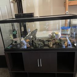 75 Gallon Aquarium Fish Tank